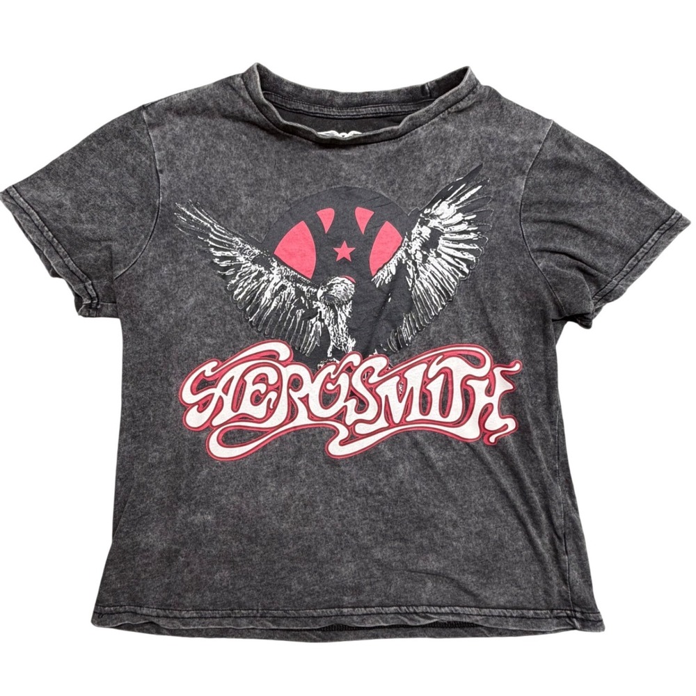 Aerosmith Adult Medium Gray Acid Wash Graphic T-Shirt Eagle Band Tee 2017 Merch